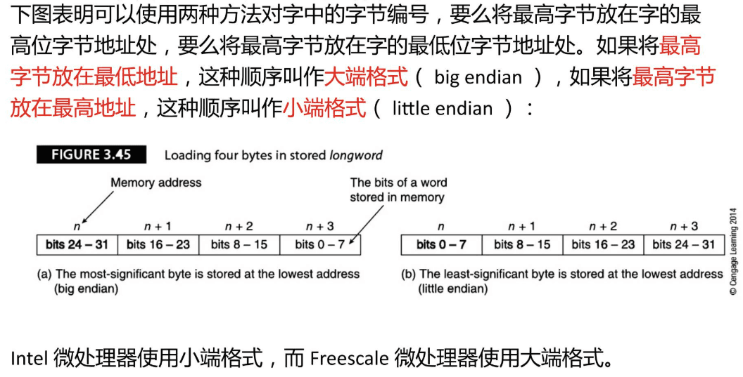 3.8 数据组织 图 1